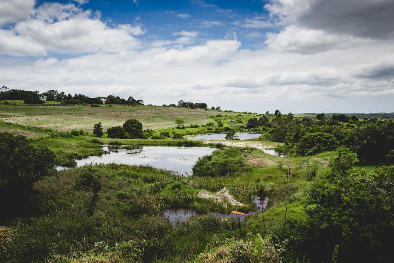 ホテル Oribi Gorge Guest Farm Glendale エクステリア 写真
