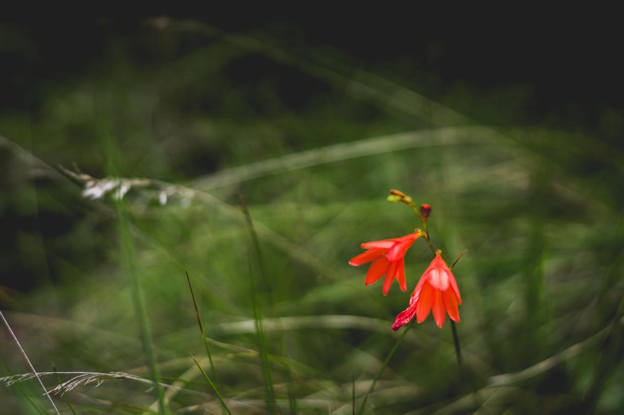 ホテル Oribi Gorge Guest Farm Glendale エクステリア 写真